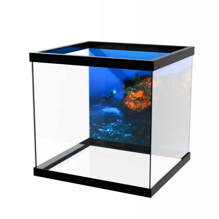 Big Rock Scuba will make a perfect background for any fresh or salt water tank or aquarium as well as dry terrariums.