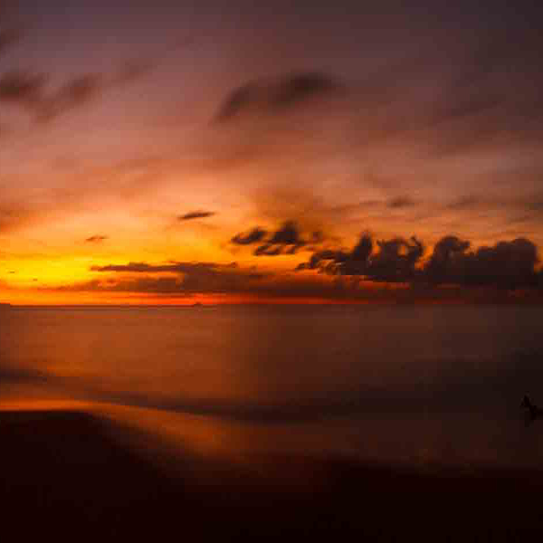 Volcano Eruption Sunset will make a perfect background for any fresh or salt water tank or aquarium as well as dry terrariums.