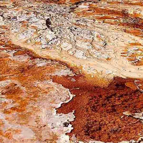 Yellowstone Hot Springs will make a perfect background for any fresh or salt water tank or aquarium as well as dry terrariums.