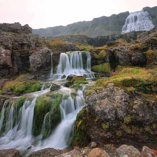 Dynjandi Step Waterfall will make a perfect background for any fresh or salt water tank or aquarium as well as dry terrariums.