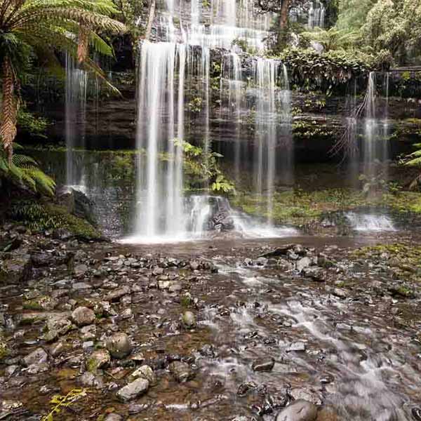 Exotic Tropical Waterfall will make a perfect background for any fresh or salt water tank or aquarium as well as dry terrariums.