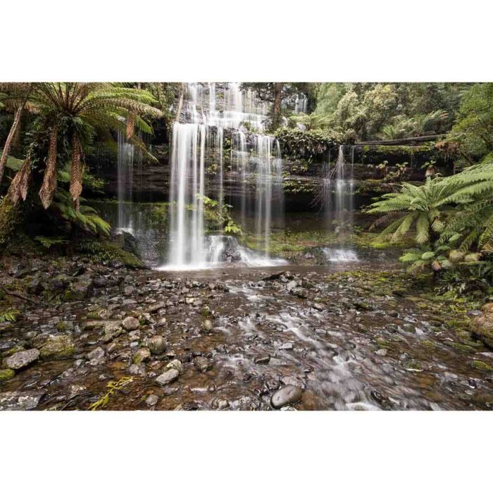 Exotic Tropical Waterfall will make a perfect background for any fresh or salt water tank or aquarium as well as dry terrariums.