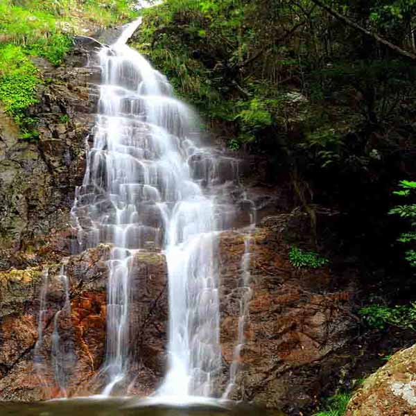 Fabulous Forest Waterfall will make a perfect background for any fresh or salt water tank or aquarium as well as dry terrariums.