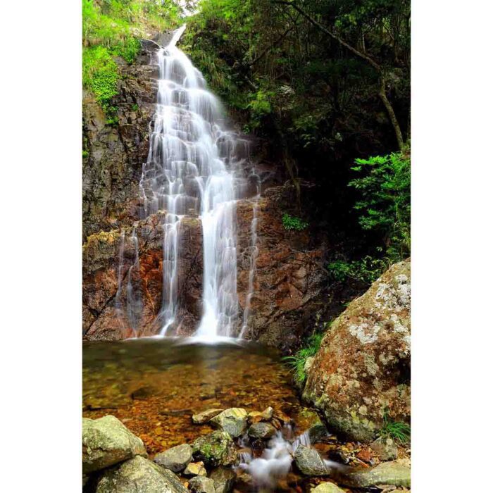 Fabulous Forest Waterfall will make a perfect background for any fresh or salt water tank or aquarium as well as dry terrariums.