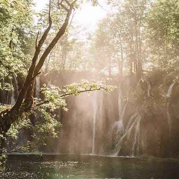 Fantastic Sunny Waterfall will make a perfect background for any fresh or salt water tank or aquarium as well as dry terrariums.