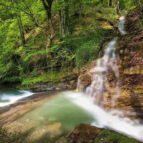 Forest Cliff Waterfall will make a perfect background for any fresh or salt water tank or aquarium as well as dry terrariums.