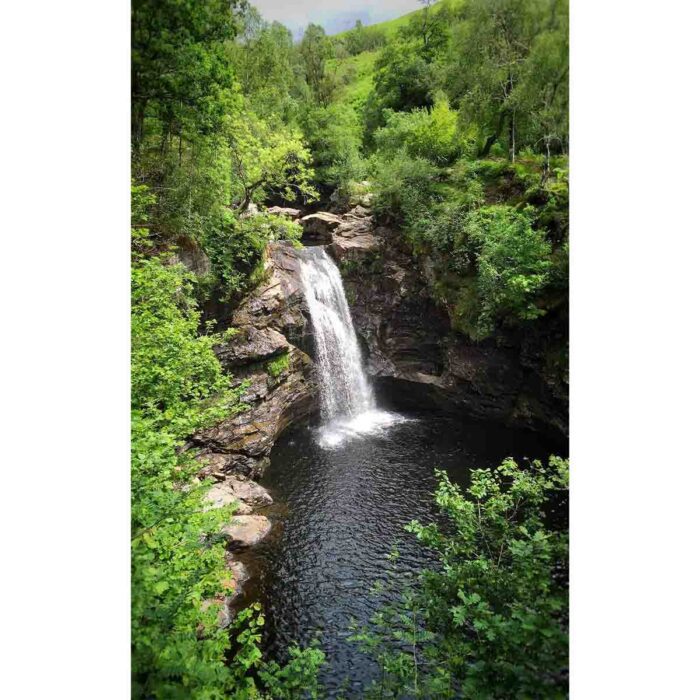 Forest Overview Waterfall will make a perfect background for any fresh or salt water tank or aquarium as well as dry terrariums.