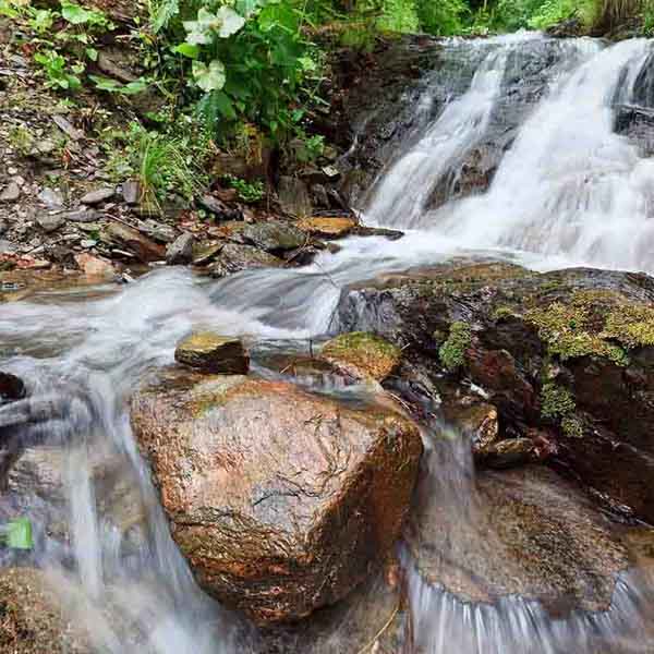 Forest Waterfall Closeup will make a perfect background for any fresh or salt water tank or aquarium as well as dry terrariums.