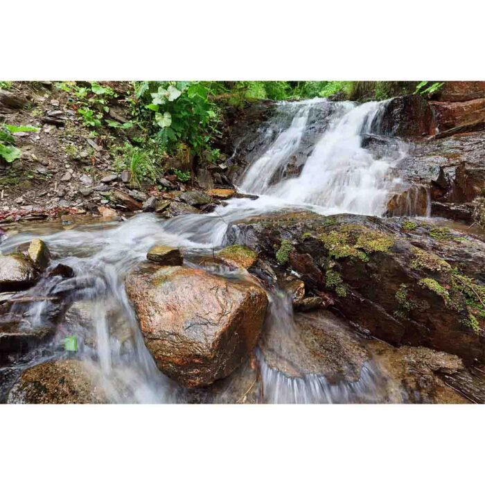 Forest Waterfall Closeup will make a perfect background for any fresh or salt water tank or aquarium as well as dry terrariums.