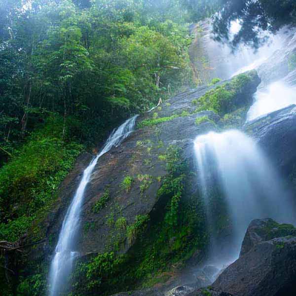 Gorgeous Thailand Waterfall will make a perfect background for any fresh or salt water tank or aquarium as well as dry terrariums.