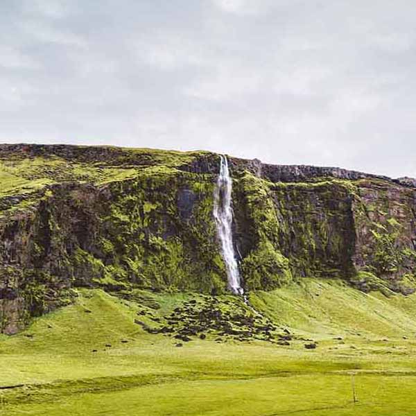 Grass Field Waterfall will make a perfect background for any fresh or salt water tank or aquarium as well as dry terrariums.