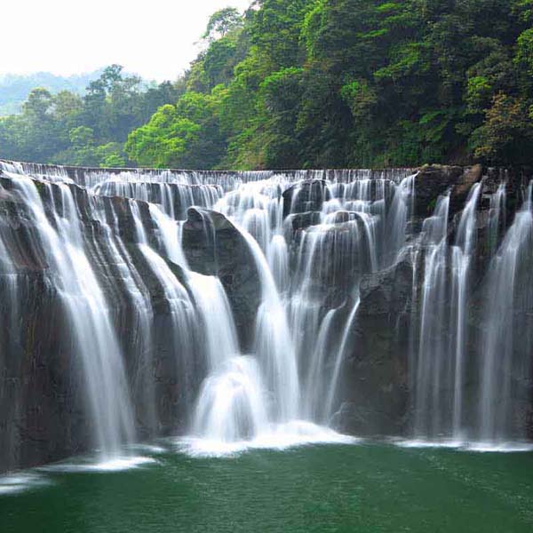 Great Jungle Waterfall will make a perfect background for any fresh or salt water tank or aquarium as well as dry terrariums.