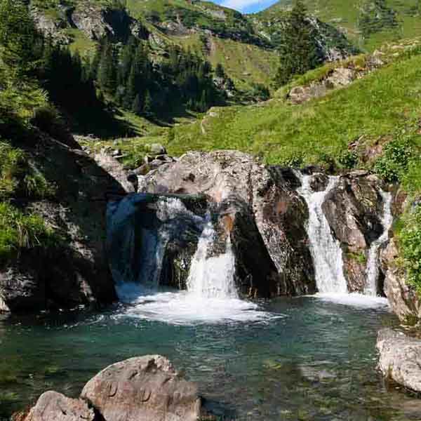 Green Landscape Waterfall will make a perfect background for any fresh or salt water tank or aquarium as well as dry terrariums.