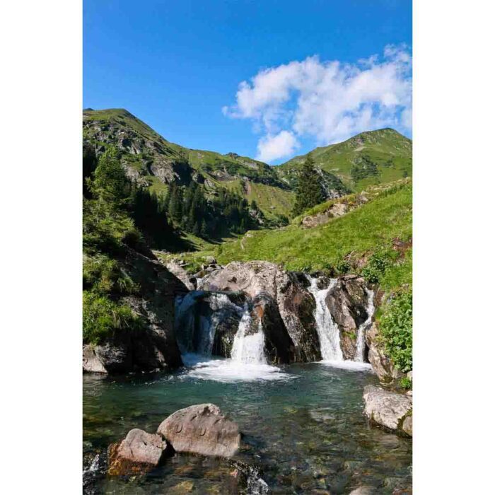 Green Landscape Waterfall will make a perfect background for any fresh or salt water tank or aquarium as well as dry terrariums.