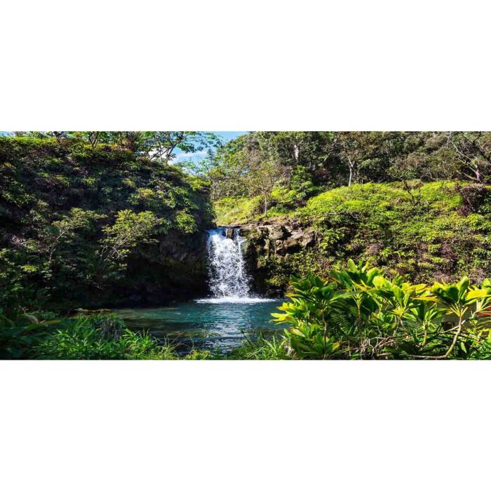 Hawaii Jungle Waterfall will make a perfect background for any fresh or salt water tank or aquarium as well as dry terrariums.