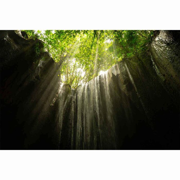 Jungle Light Waterfall will make a perfect background for any fresh or salt water tank or aquarium as well as dry terrariums.