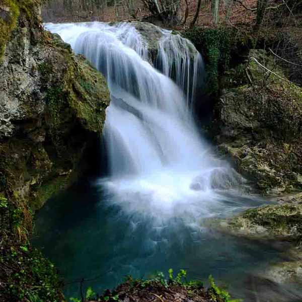 Lonely Forest Waterfall will make a perfect background for any fresh or salt water tank or aquarium as well as dry terrariums.