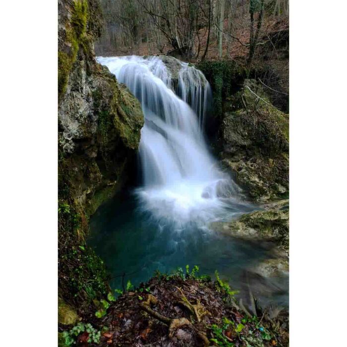 Lonely Forest Waterfall will make a perfect background for any fresh or salt water tank or aquarium as well as dry terrariums.