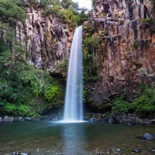 Long Chile Waterfall will make a perfect background for any fresh or salt water tank or aquarium as well as dry terrariums.