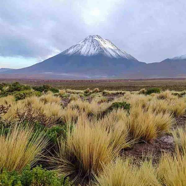 Majestic Scenery Volcano will make a perfect background for any fresh or salt water tank or aquarium as well as dry terrariums.