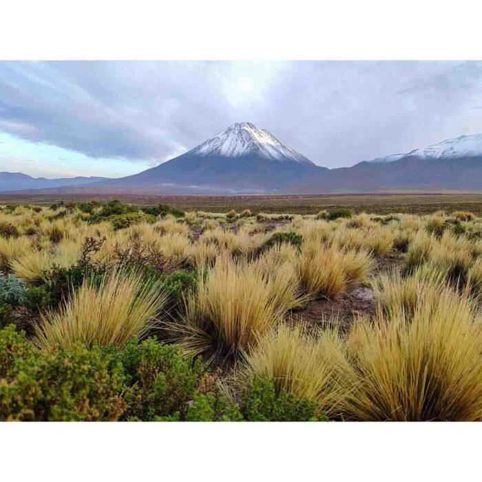 Majestic Scenery Volcano will make a perfect background for any fresh or salt water tank or aquarium as well as dry terrariums.