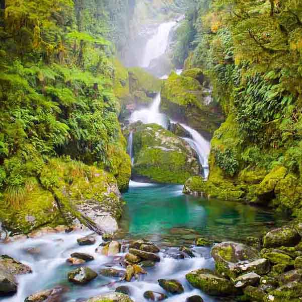 Moss Covered Waterfall will make a perfect background for any fresh or salt water tank or aquarium as well as dry terrariums.