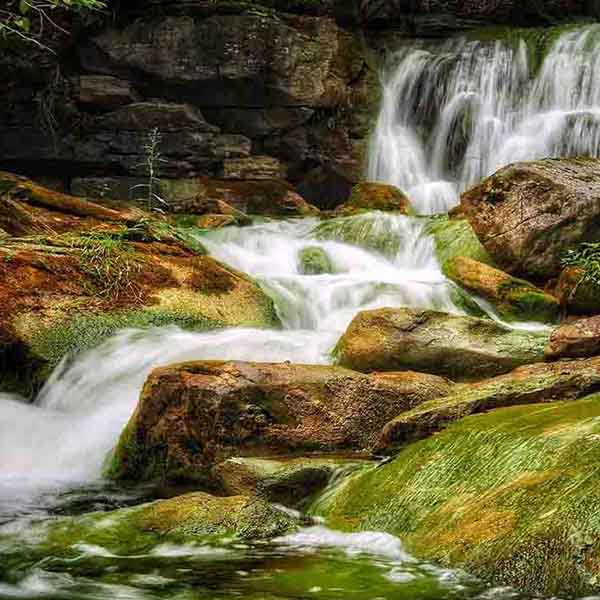 Murky Green Waterfall will make a perfect background for any fresh or salt water tank or aquarium as well as dry terrariums.