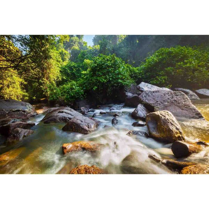 Murky Rock Waterfall will make a perfect background for any fresh or salt water tank or aquarium as well as dry terrariums.