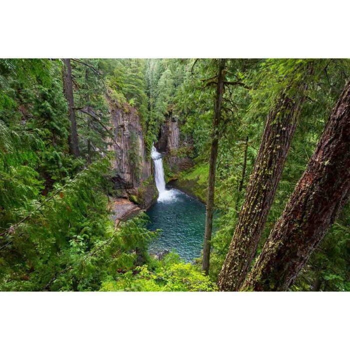 Oregon Forest Waterfall will make a perfect background for any fresh or salt water tank or aquarium as well as dry terrariums.