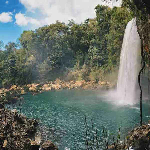 Powerful Jungle Waterfall will make a perfect background for any fresh or salt water tank or aquarium as well as dry terrariums.