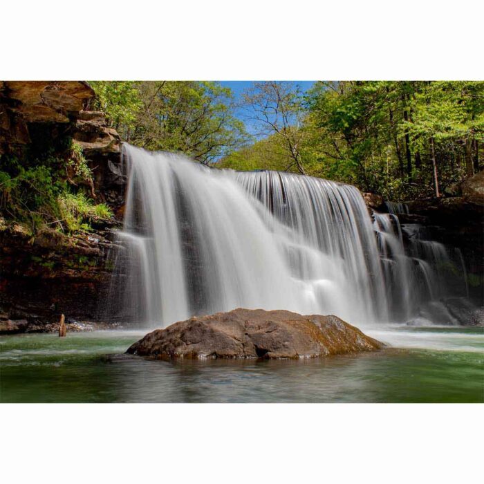 Scenic Forest Waterfall will make a perfect background for any fresh or salt water tank or aquarium as well as dry terrariums.