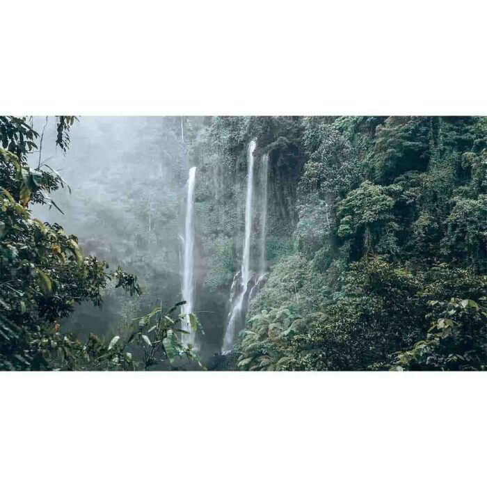 Skinny Jungle Waterfall will make a perfect background for any fresh or salt water tank or aquarium as well as dry terrariums.