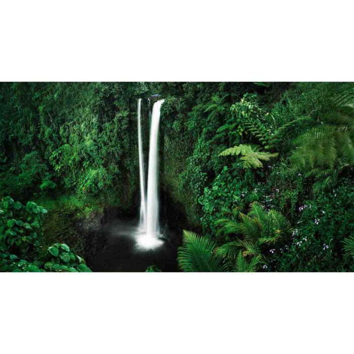 Slim Waterfall Lagoon will make a perfect background for any fresh or salt water tank or aquarium as well as dry terrariums.