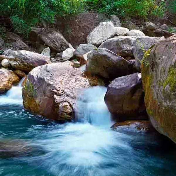 Small Pond Waterfall will make a perfect background for any fresh or salt water tank or aquarium as well as dry terrariums.