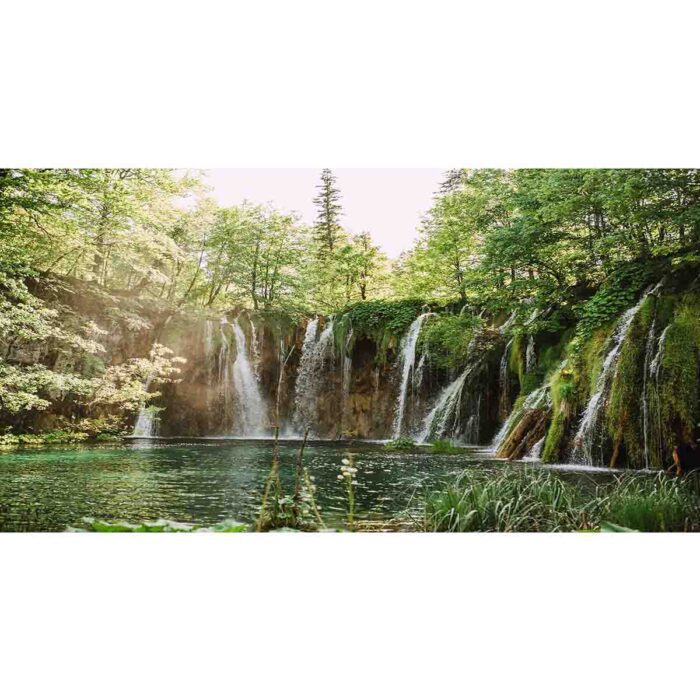 Spectacular Forest Waterfall will make a perfect background for any fresh or salt water tank or aquarium as well as dry terrariums.