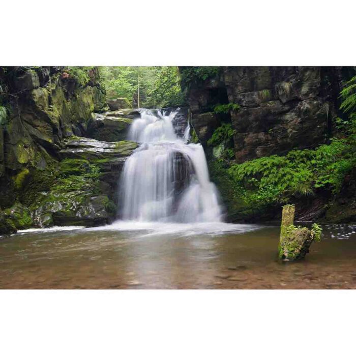 Subtle Jungle Waterfall will make a perfect background for any fresh or salt water tank or aquarium as well as dry terrariums.