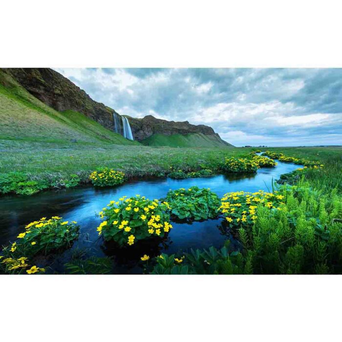 Sunrise Seljalandfoss Waterfall will make a perfect background for any fresh or salt water tank or aquarium as well as dry terrariums.