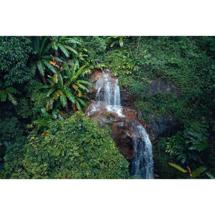 Tropical Jungle Waterfall will make a perfect background for any fresh or salt water tank or aquarium as well as dry terrariums.