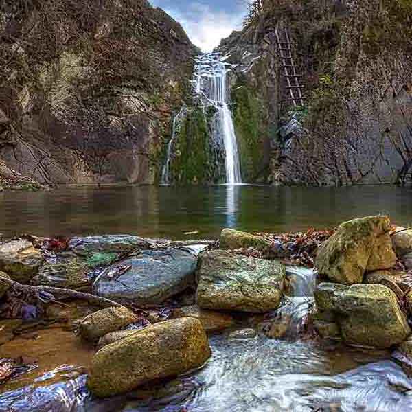 Upward View Waterfall will make a perfect background for any fresh or salt water tank or aquarium as well as dry terrariums.