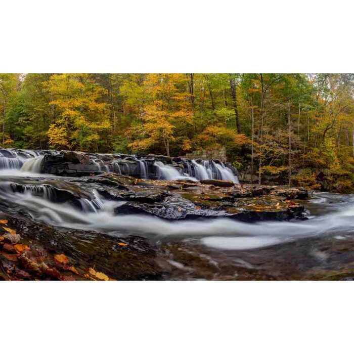 Waterfall In Autumn will make a perfect background for any fresh or salt water tank or aquarium as well as dry terrariums.