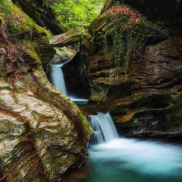 Wonderful Forest Waterfall will make a perfect background for any fresh or salt water tank or aquarium as well as dry terrariums.