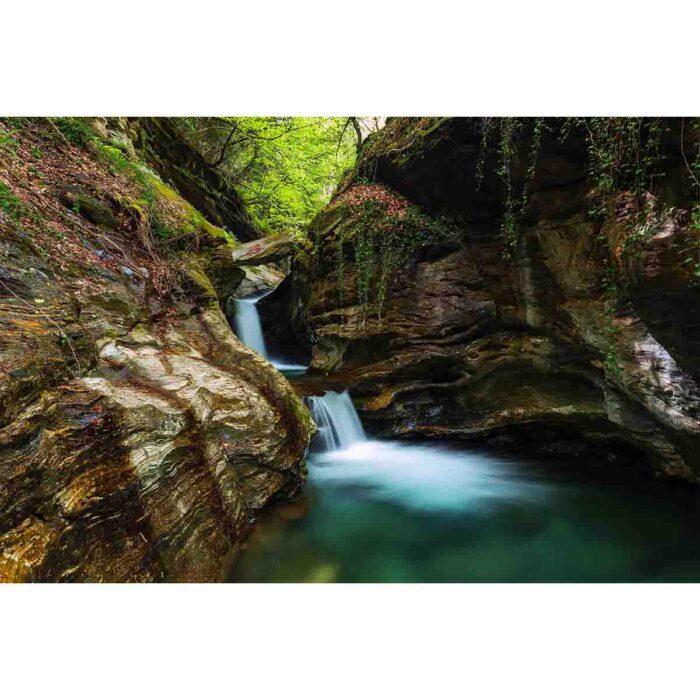 Wonderful Forest Waterfall will make a perfect background for any fresh or salt water tank or aquarium as well as dry terrariums.